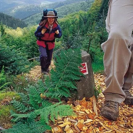 In Near The Willingen (Upland)