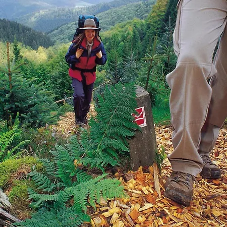 In Unweit Vom Skigebiet * Willingen (Upland)