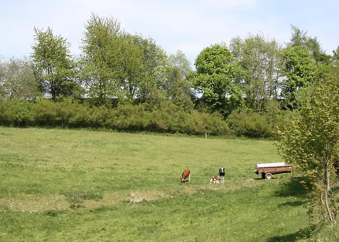 In Unweit Vom Skigebiet *