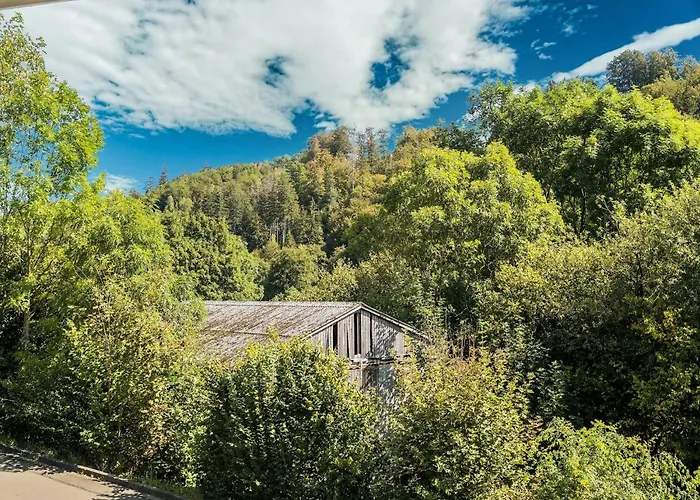 Hébergement de vacances In Unweit Vom Skigebiet Willingen (Upland)