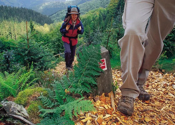 Hébergement de vacances In Unweit Vom Skigebiet Willingen (Upland)