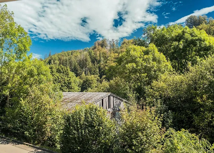 Hébergement de vacances In Unweit Vom Skigebiet Willingen (Upland)